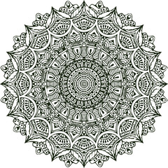 Beautiful flower art and mandala vector design