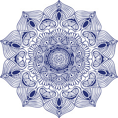 Beautiful flower art and mandala vector design
