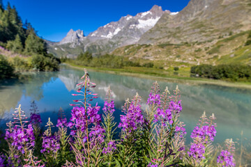 Val Veny mountain landscape in Courmayeur, italian Alps on Tour du Mont Blanc hiking route TMB. Trekking and hiking in the Alps among beautiful landscape and stunning scenery of the Alps green valleys