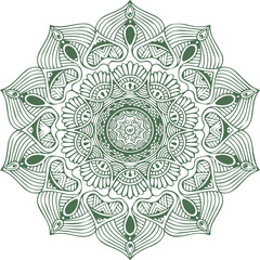 Beautiful flower art and mandala vector design