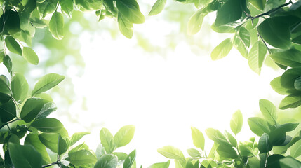 An abstract nature background framed by leaves, with space for text.