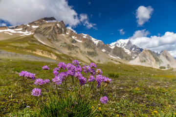 Val Veny mountain landscape in Courmayeur, italian Alps on Tour du Mont Blanc hiking route TMB. Trekking and hiking in the Alps among beautiful landscape and stunning scenery of the Alps green valleys