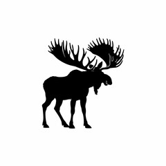 A striking silhouette of a moose, showcasing its large antlers and powerful physique.