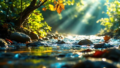 Fototapeta premium Serene Autumn Stream: Sunlit Water, Golden Leaves, Peaceful Nature