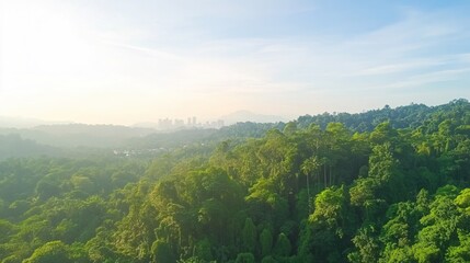 Fototapeta premium Lush Rainforest Canopy City Skyline Sunrise View