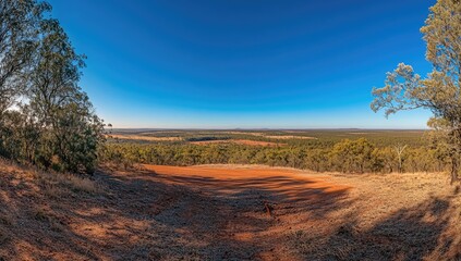 Fototapeta premium A wide-angle photo of the empty road in Australia's Outback, with red earth and sparse vegetation on both sides, a clear blue sky, and distant hills in the background.