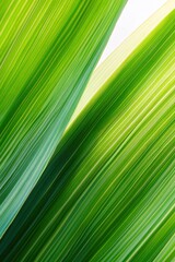 Vibrant Green Leaf Texture Diagonal Lines Nature Background