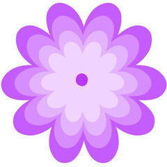 Purple lotus 