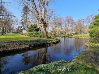 Beautiful spring landscape, with lake and trees in the park.