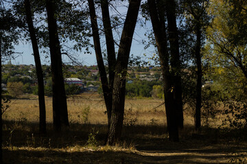 View of the village from the shadows of the trees. Boguchar village.