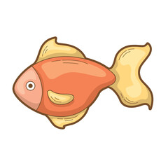 Orange fish with yellow fins in a vibrant underwater setting, ideal for aquatic themed designs, marine illustrations, and nature themed visual projects
