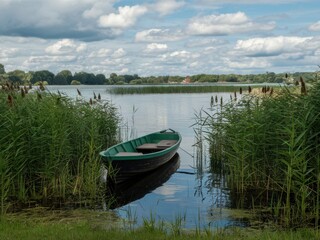 Obraz premium Serene lakeside landscape, green rowboat moored in reeds, reflective calm water, lush green trees and grass, puffy white clouds, summer day, peaceful countryside scene, photorealistic, high detail, so