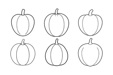 Acorn Squash (Cucurbita pepo) design, labeled line art vector illustration