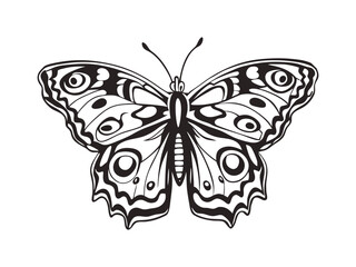 Intricate black and white butterfly illustration for nature-themed designs