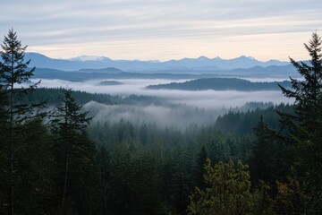 Obraz premium Misty Mountains and Evergreen Forest Landscape