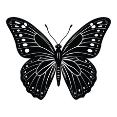 A butterfly surrounded by intricate, ornamental tribal patterns, blending natural beauty with bold, geometric designs for a unique, vibrant fusion of art and nature.