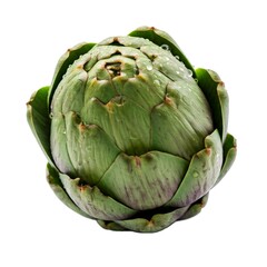 artichoke isolated on white background