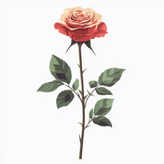 Obraz premium single red rose with green leaves, symbolizing love and romance, on white background
