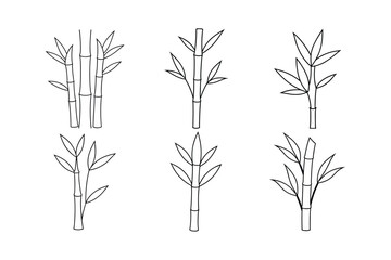 Bamboo Shoots (Bambusa vulgaris) design, labeled line art vector illustration