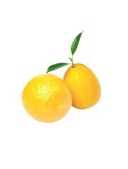 Fresh lemon with green leaves  isolated on white background.