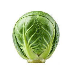 Obraz premium brussels sprout isolated on white background