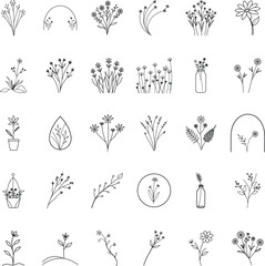 Floral Line Art Minimalist Botanical Illustrations, Flower Drawings, Simple Designs