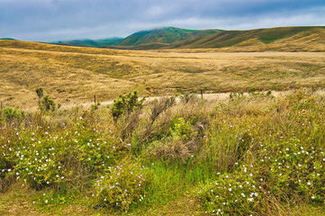 Prairie landscape with dry grasses on rolling hills under an overcast sky, between Burra and Mount...