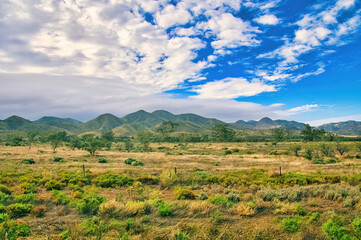 The southern foothills of the Flinders Ranges, between Port Augusta and Mount Remarkable, South Australia, rise up from an arid plain with dry grasses and small trees
