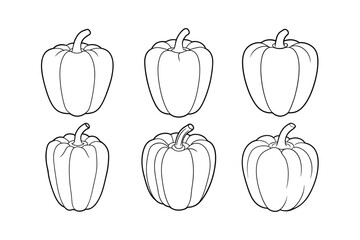 Bell Pepper (Capsicum annuum) design, labeled line art vector illustration