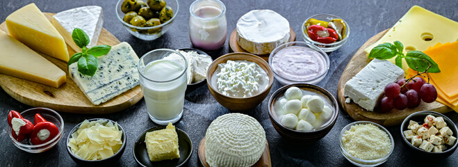 A variety of dairy products including cheese, milk and yogurt