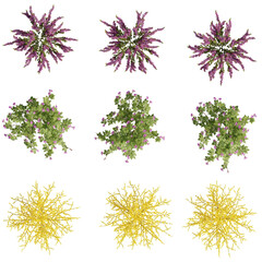 set of trees rendered from the top view, 3D illustration, for digital composition, illustration, 2D plans, architecture visualization