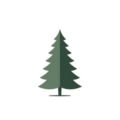 Fototapeta premium Isolated Pine Tree Green Evergreeen Nature Icon Symbol white background