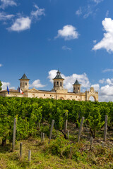Vineyards with Chateau Cos d'Estournel, Bordeaux, Aquitaine, France