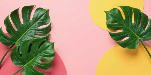 Obraz premium Vibrant tropical leaves arranged on a pastel pink background with yellow circles