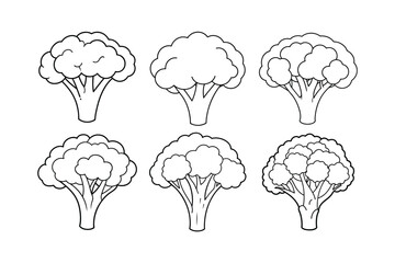 Broccoli (Brassica oleracea var. italica) design, labeled line art vector illustration