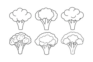 Broccoli (Brassica oleracea var. italica) design, labeled line art vector illustration