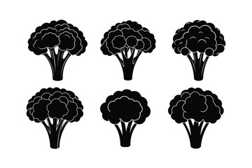 Broccoli (Brassica oleracea var. italica) design, labeled linocut vector illustration