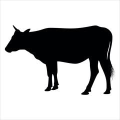Black Bull Silhouette vector illustration