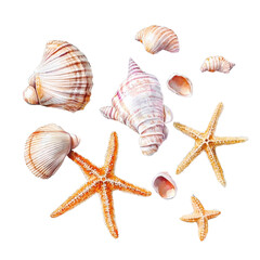 Colorful Seashells and Starfish Collection on a White Background