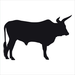 Black Bull Silhouette vector illustration