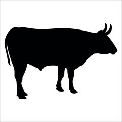 Black Bull Silhouette vector illustration