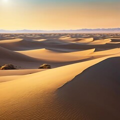 sand dunes in the desert