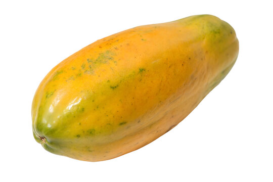 Una papaya maradol aislada