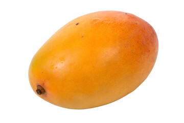 Un mango de manila aislado