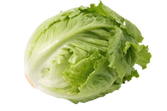 Una lechuga iceberg aislada