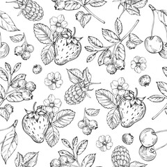 Berries vector seamless pattern hand drawn in ink. Strawberry, cherry, raspberry and blueberry background.Template for design of textiles, wrapping paper and labels