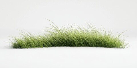 A clean 3D render of a green grass meadow, slightly curved for a natural look, with intricate blade detailing and no background for versatile design use. 