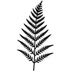 Detailed Vector Line Art Fern Edition