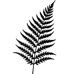 Naklejka premium Detailed Vector Line Art Fern Edition