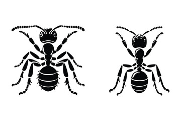 Set of Black Ants Silhouettes Isolated on White Background. Vector Illustration